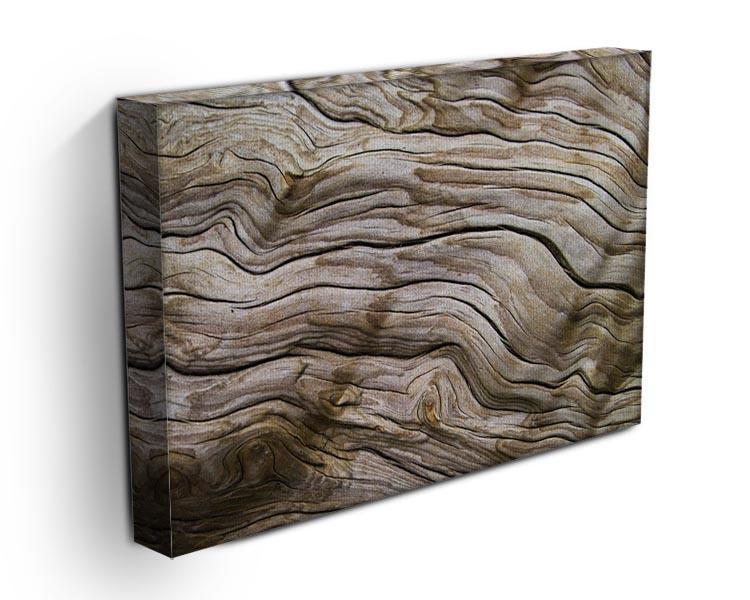 Driftwood Canvas Print or Poster - Canvas Art Rocks - 3
