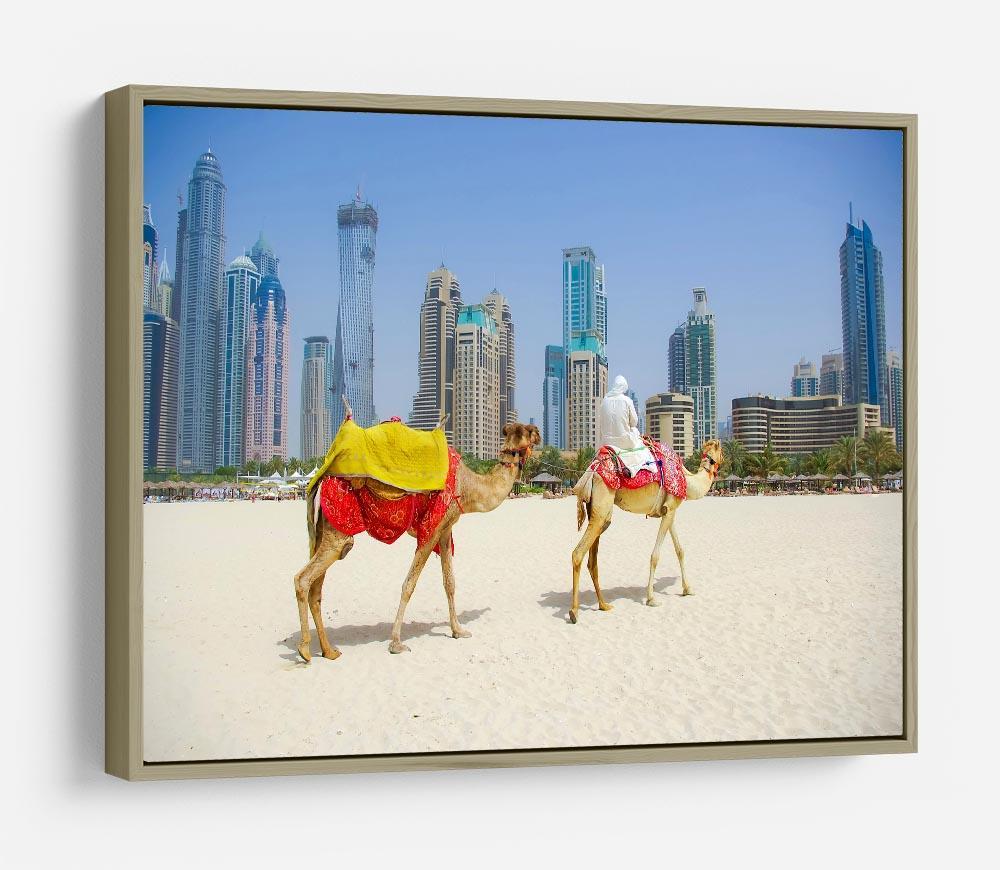 Dubai Camel on the town scape backround HD Metal Print