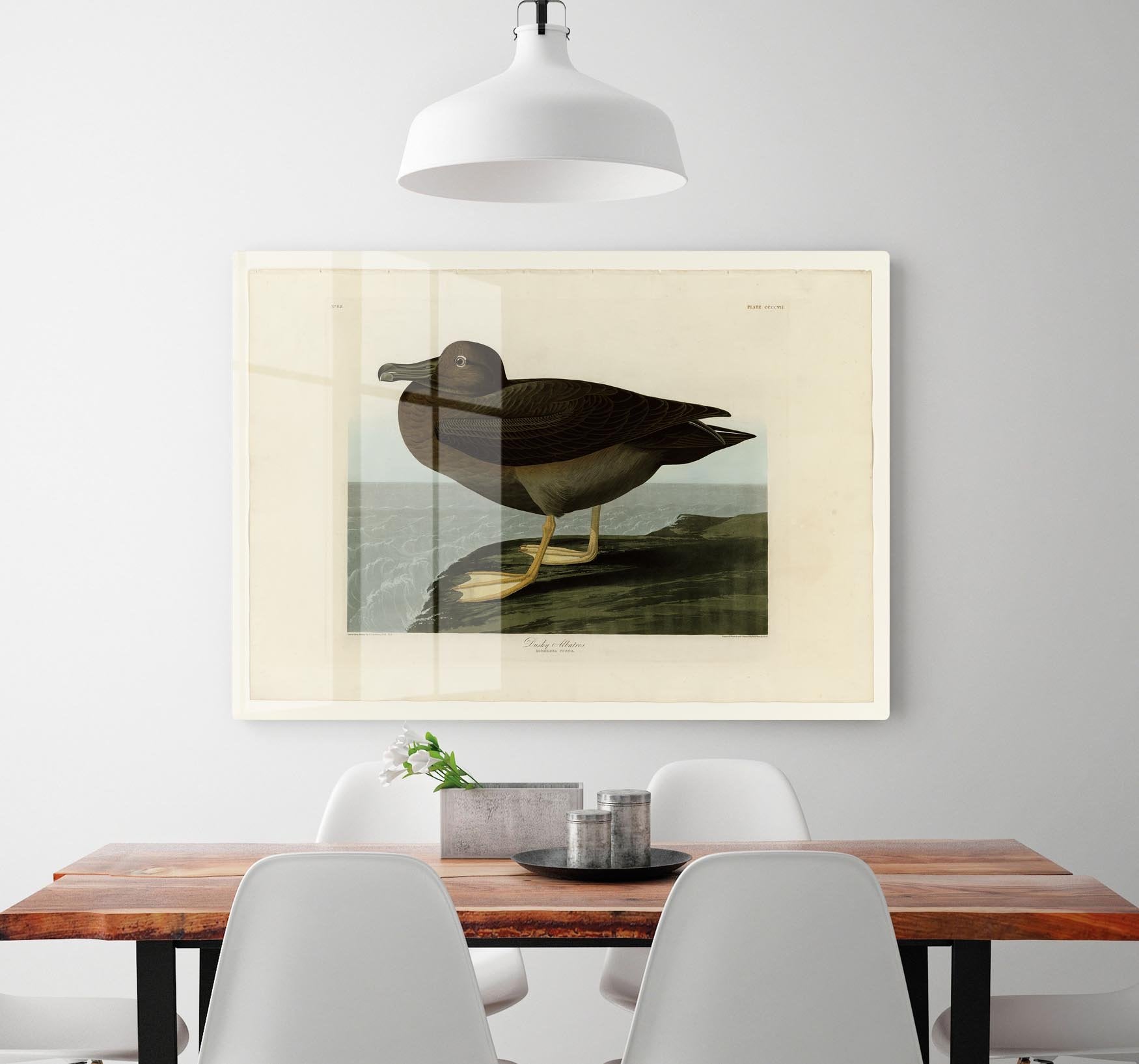 Dusky Albatros by Audubon HD Metal Print - Canvas Art Rocks - 2