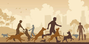Editable vector illustration of dogs and their owners in a park Wall Mural Wallpaper - Canvas Art Rocks - 1