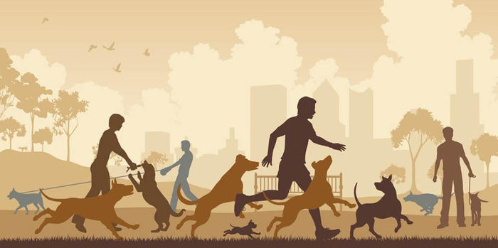 Editable vector illustration of dogs and their owners in a park Wall Mural Wallpaper