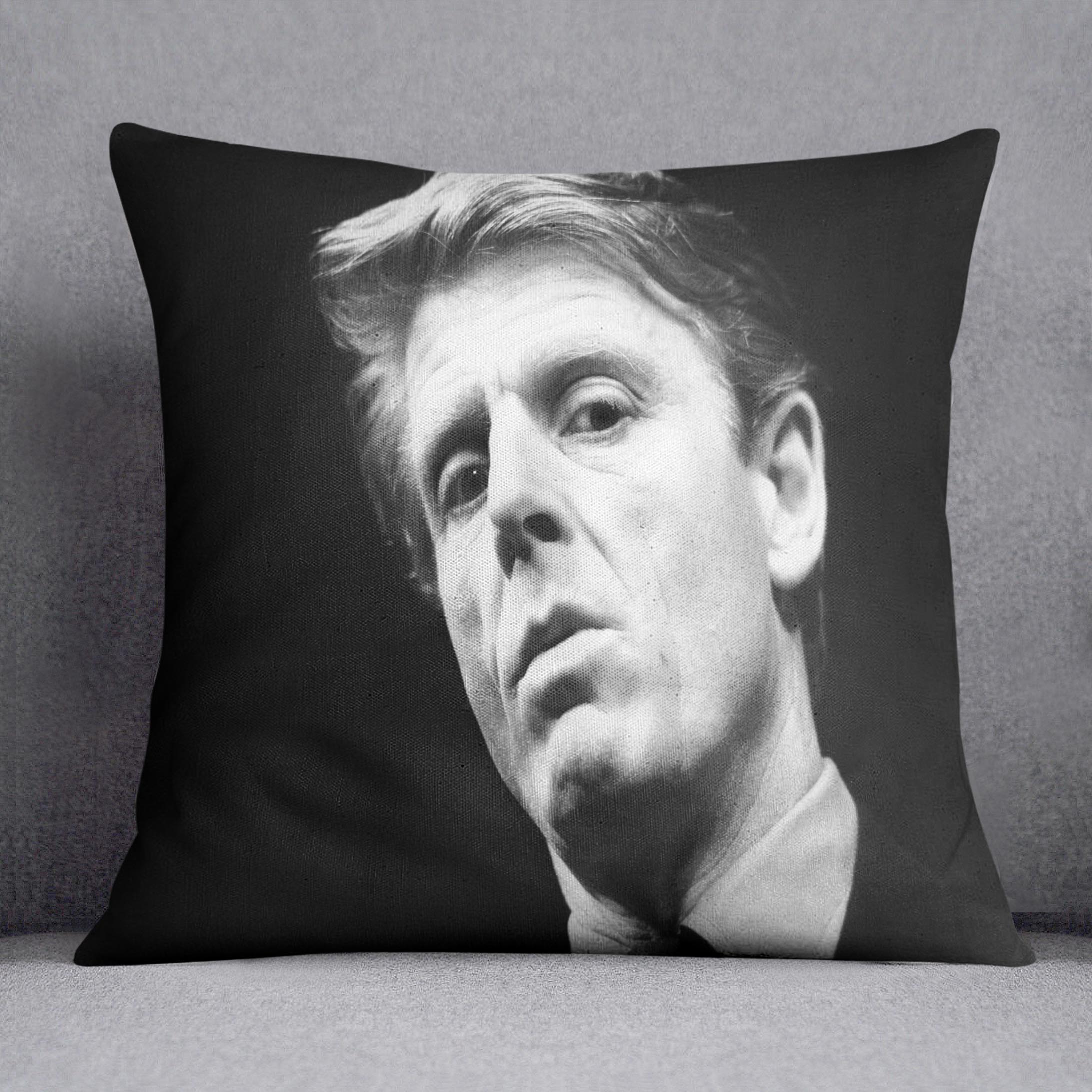 Edward Fox Cushion