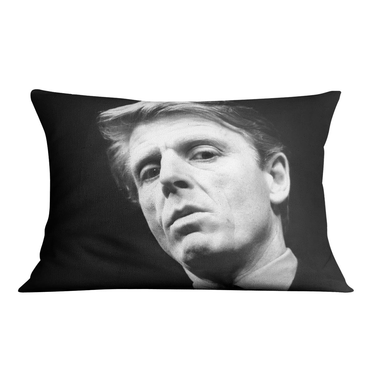 Edward Fox Cushion