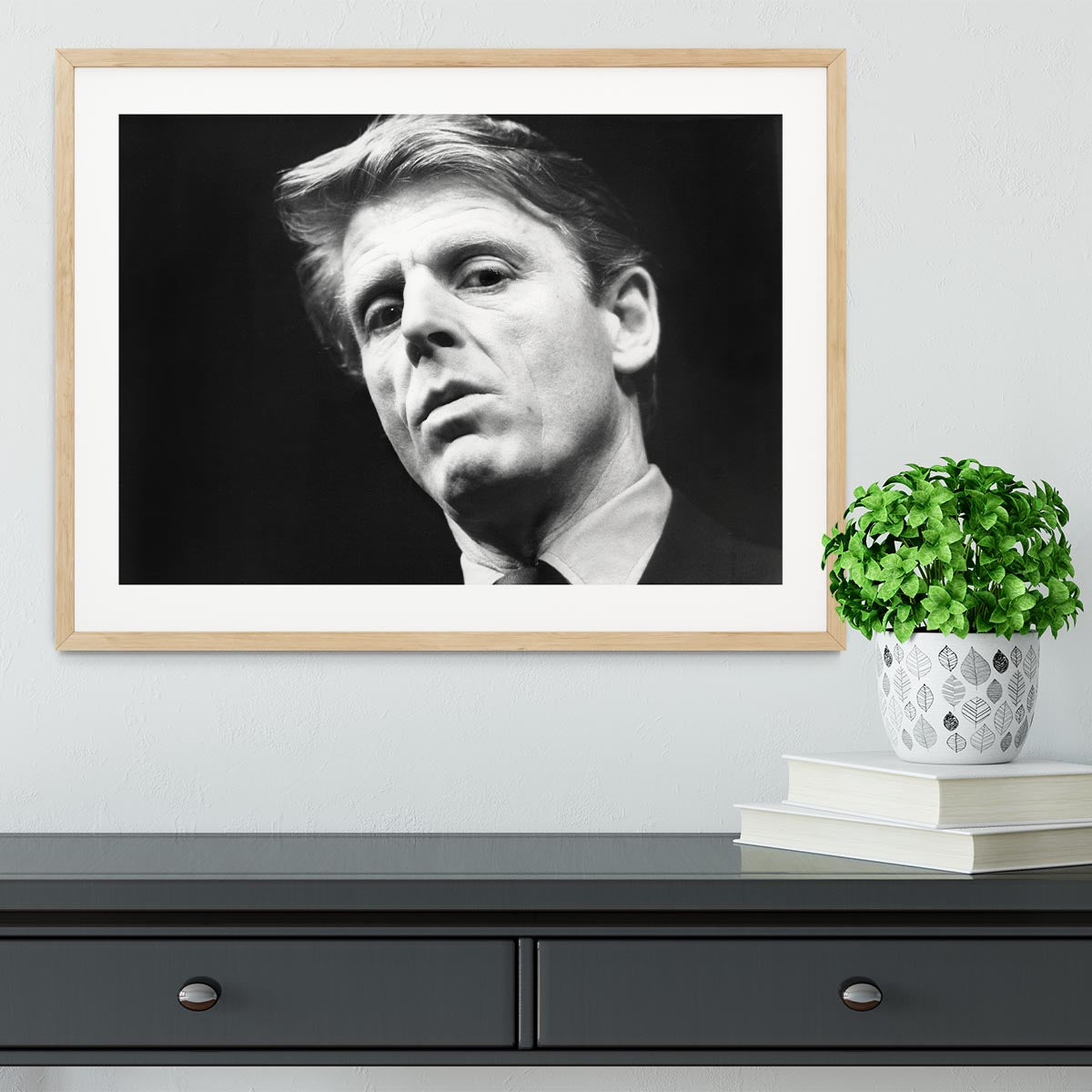 Edward Fox Framed Print - Canvas Art Rocks - 3