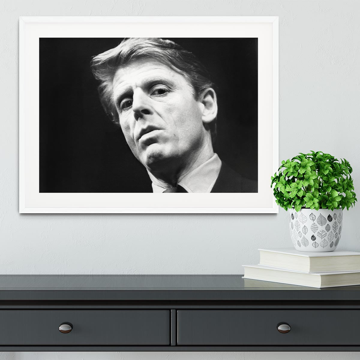 Edward Fox Framed Print - Canvas Art Rocks - 5