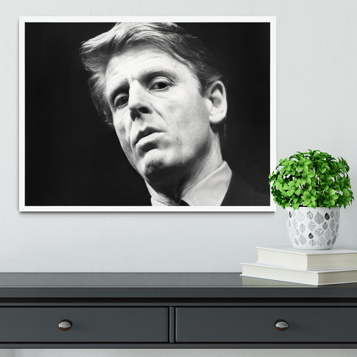 Edward Fox Framed Print - Canvas Art Rocks -6