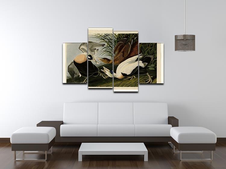 Eider Duck by Audubon 4 Split Panel Canvas - Canvas Art Rocks - 3