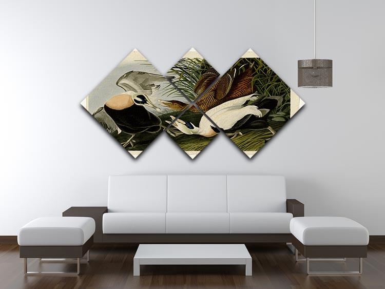Eider Duck by Audubon 4 Square Multi Panel Canvas - Canvas Art Rocks - 3