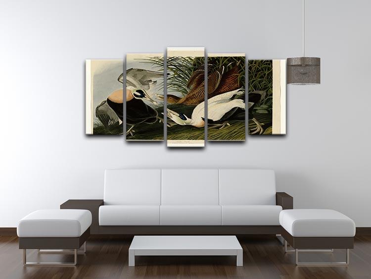 Eider Duck by Audubon 5 Split Panel Canvas - Canvas Art Rocks - 3