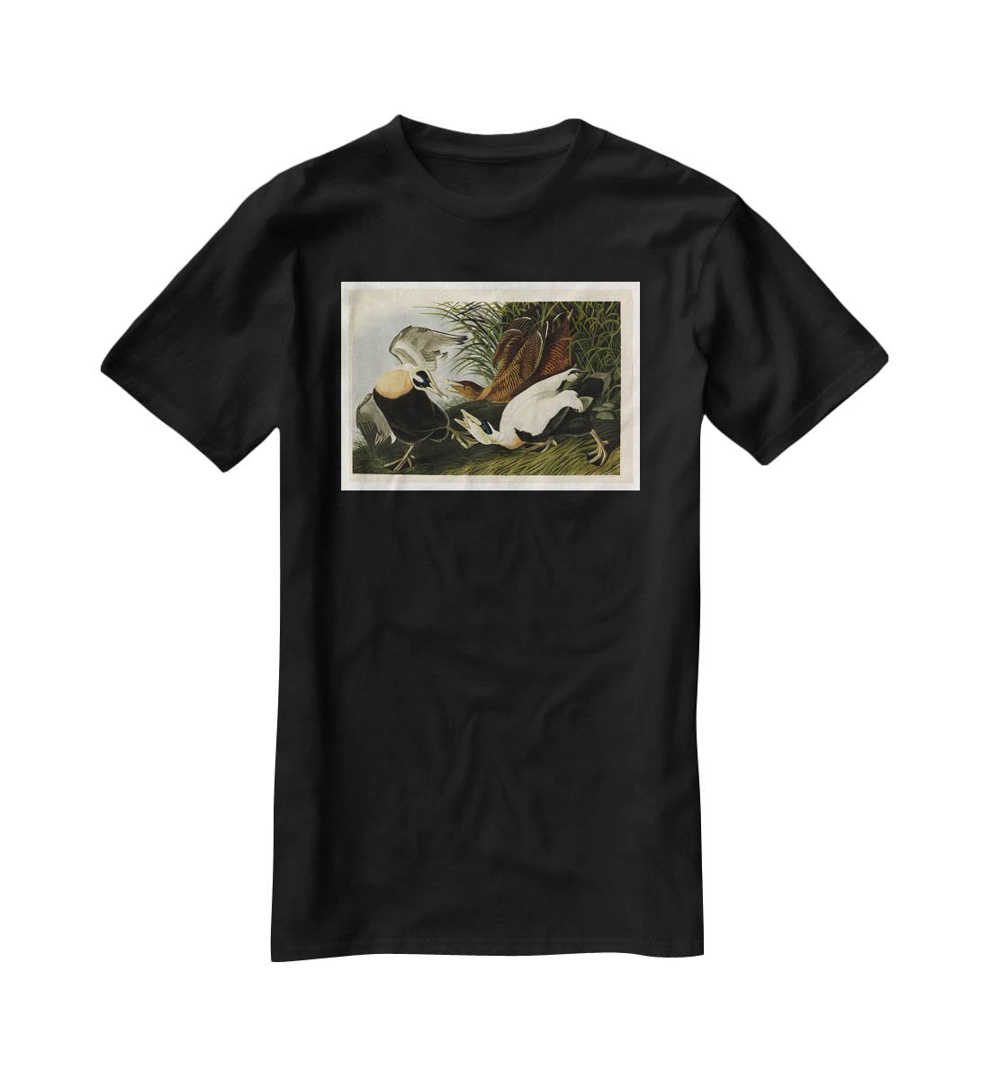 Eider Duck by Audubon T-Shirt - Canvas Art Rocks - 1