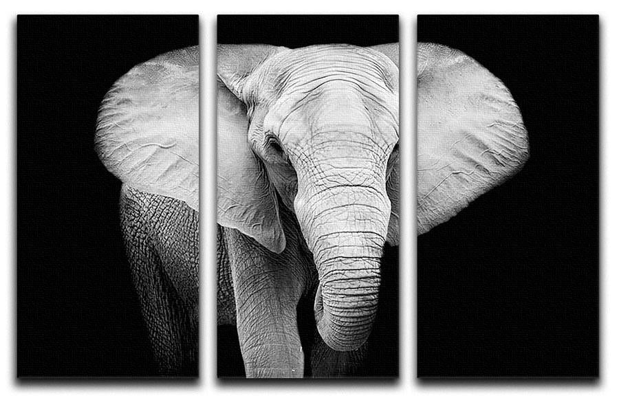 Elephant 3 Split Panel Canvas Print - Canvas Art Rocks - 1
