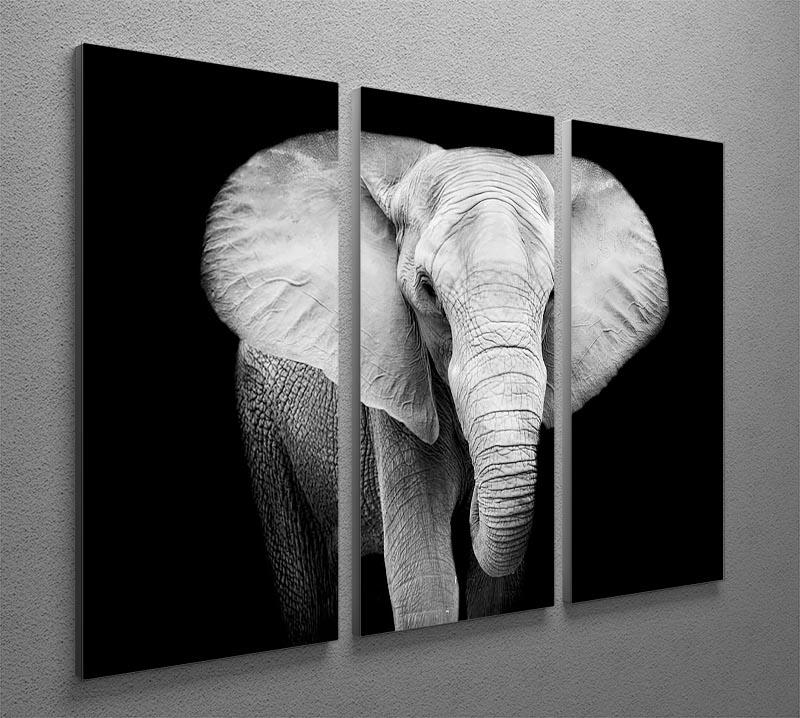 Elephant 3 Split Panel Canvas Print - Canvas Art Rocks - 2