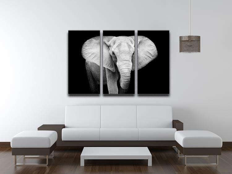 Elephant 3 Split Panel Canvas Print - Canvas Art Rocks - 3