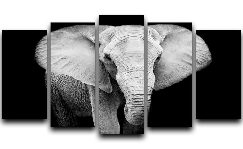 Elephant 5 Split Panel Canvas - Canvas Art Rocks - 1