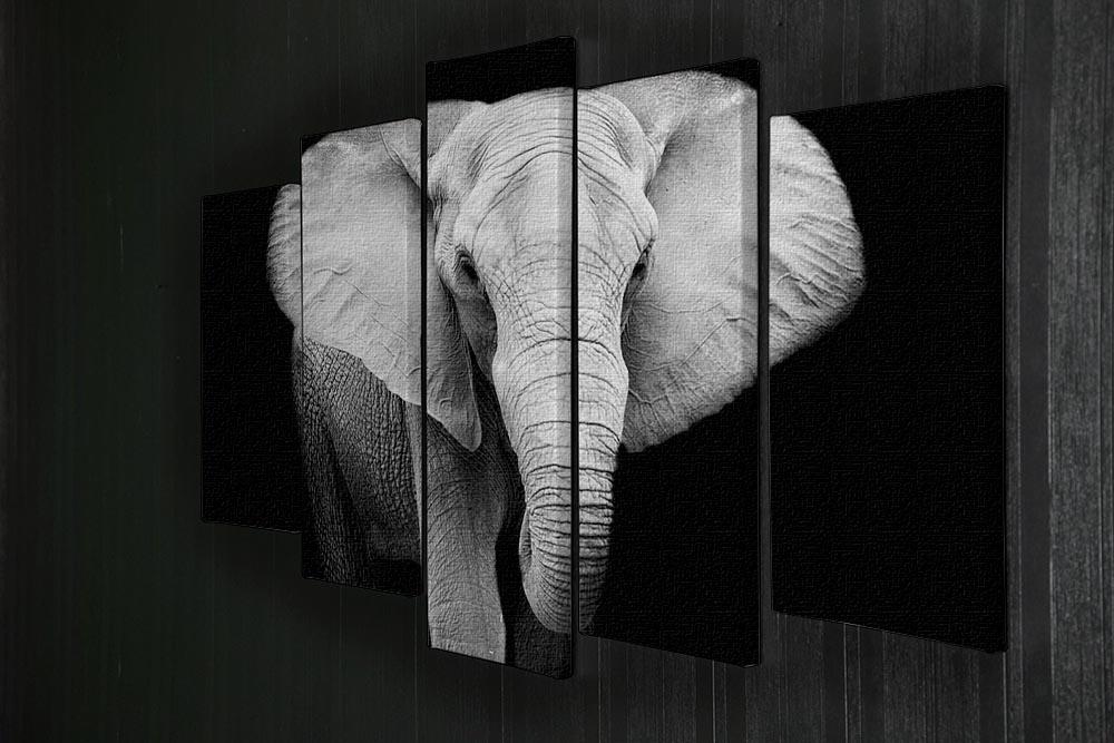 Elephant 5 Split Panel Canvas - Canvas Art Rocks - 2