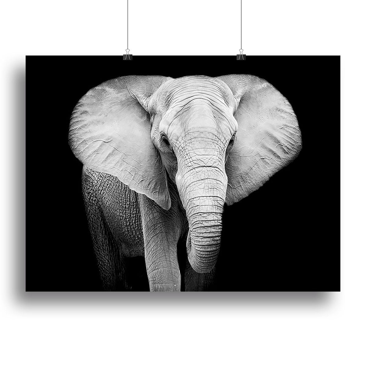 Elephant Canvas Print or Poster