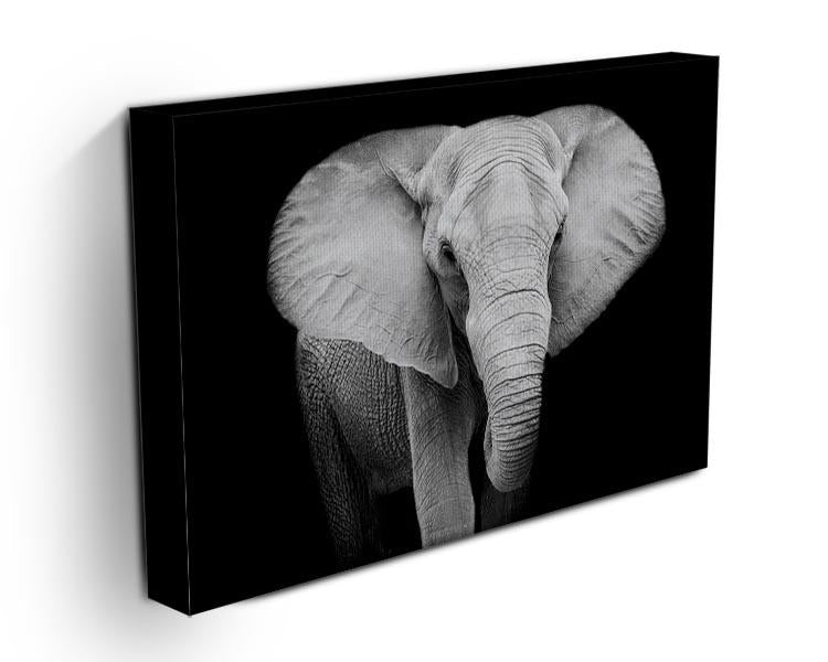 Elephant Canvas Print or Poster - Canvas Art Rocks - 3