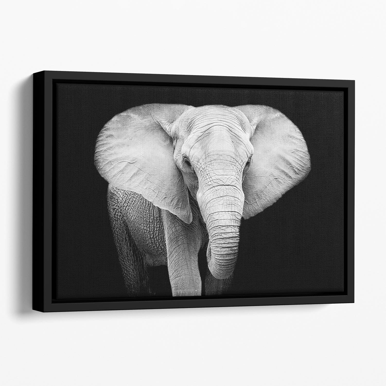 Elephant Floating Framed Canvas - Canvas Art Rocks - 1