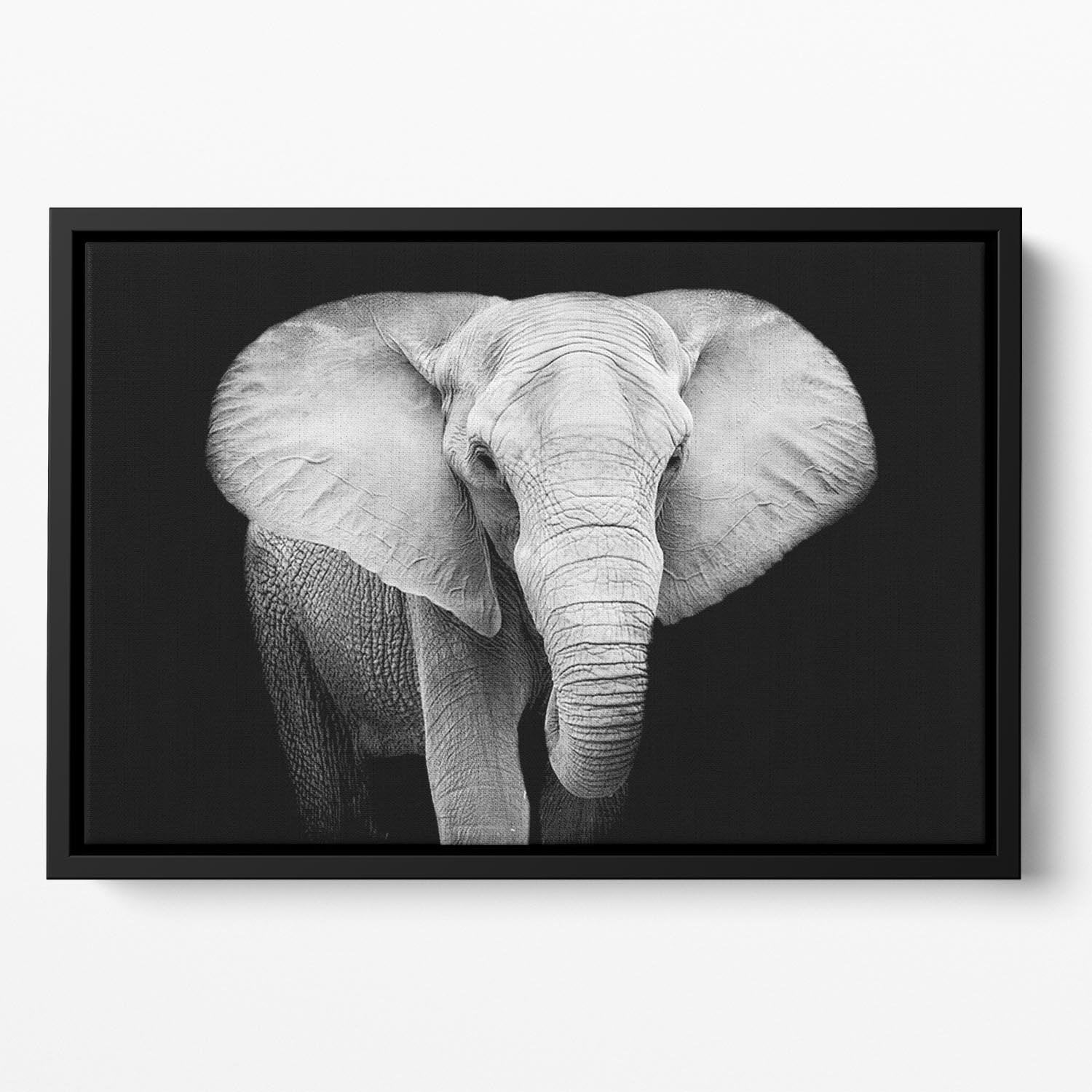 Elephant Floating Framed Canvas - Canvas Art Rocks - 2