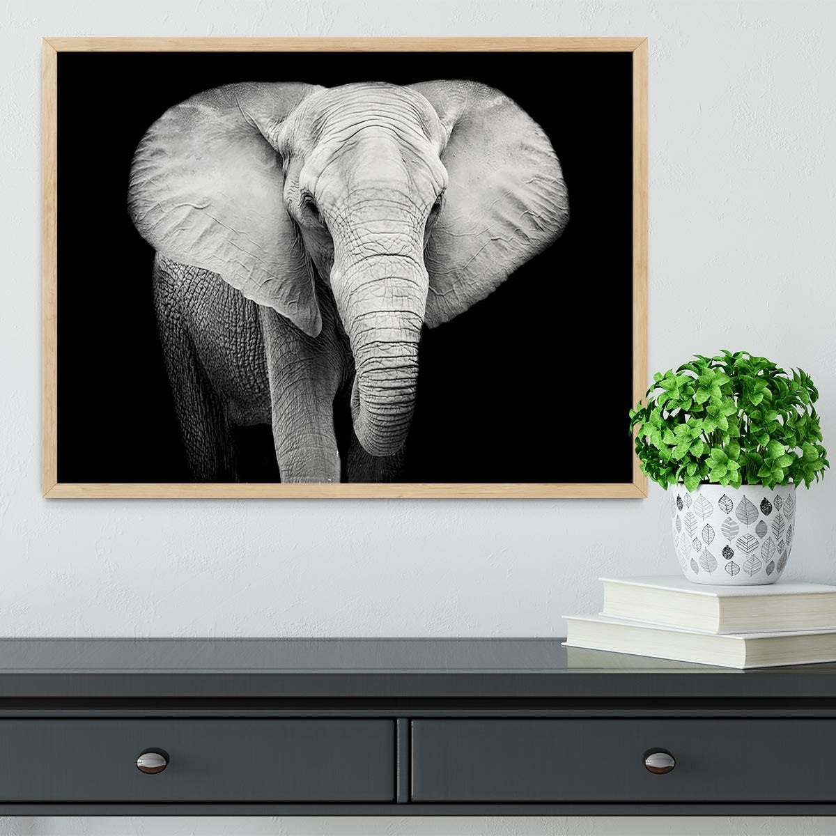 Elephant Prints