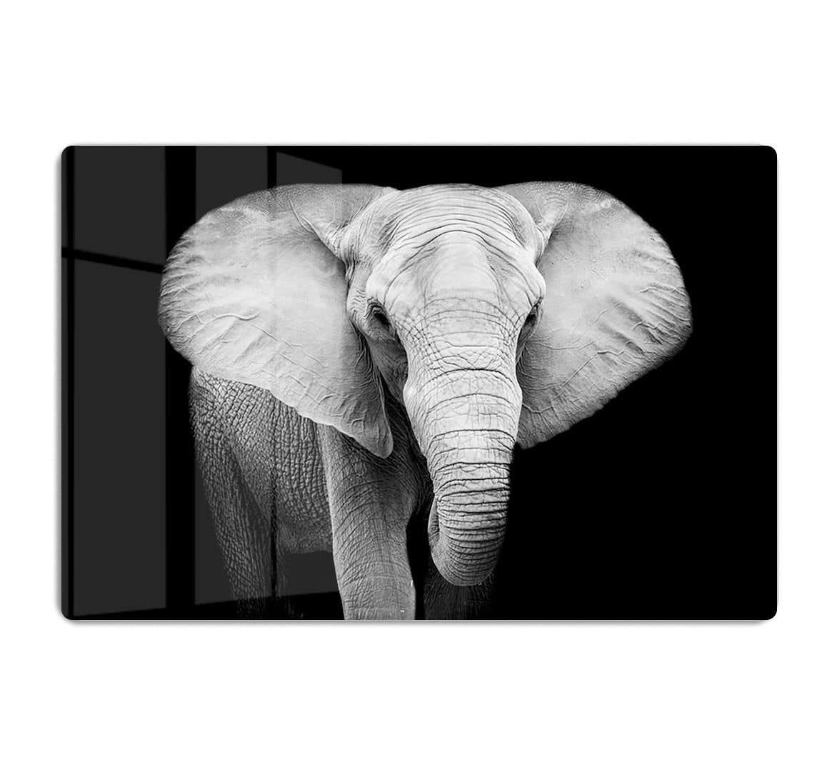 Elephant HD Metal Print - Canvas Art Rocks - 1