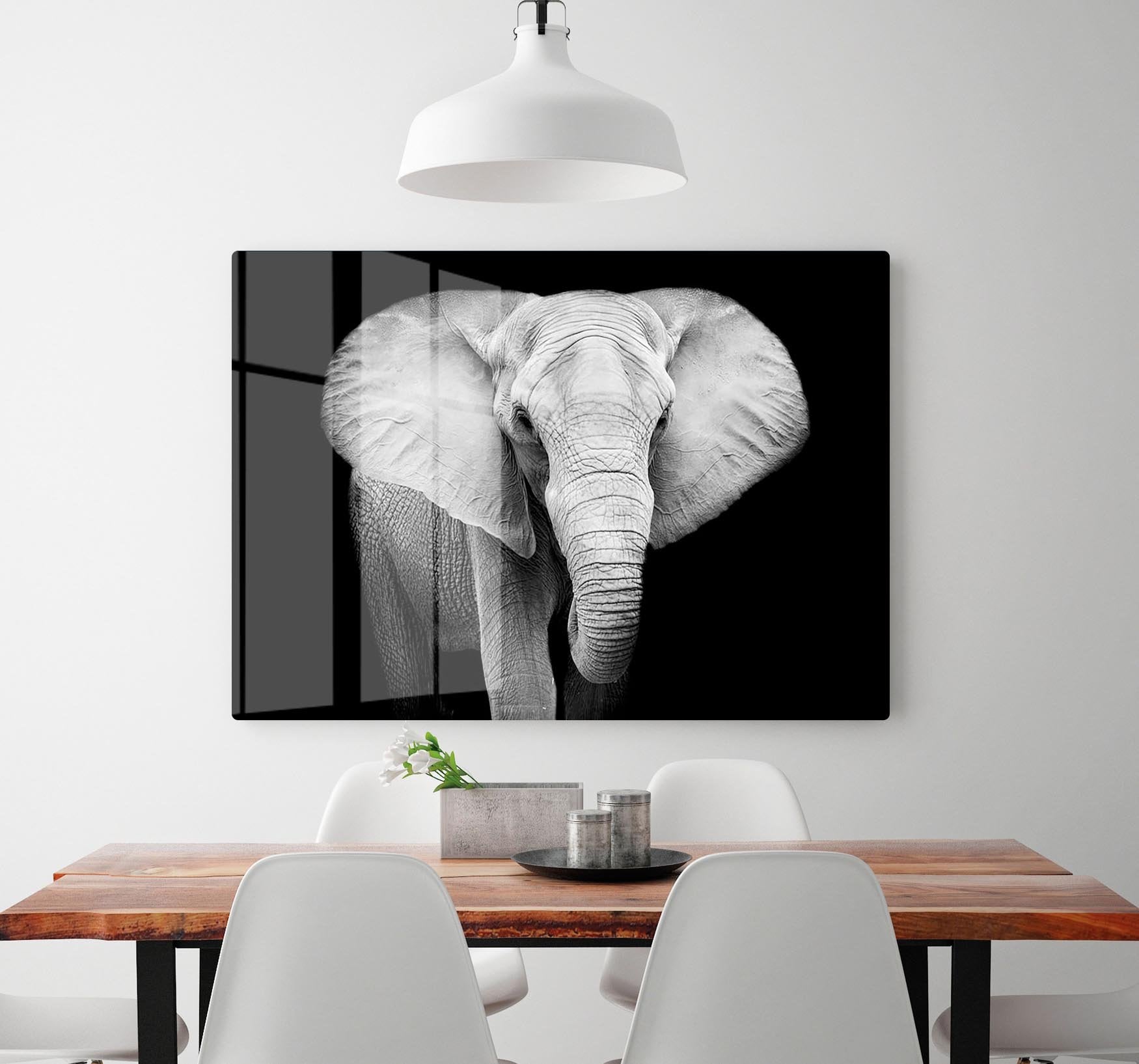 Elephant HD Metal Print - Canvas Art Rocks - 2