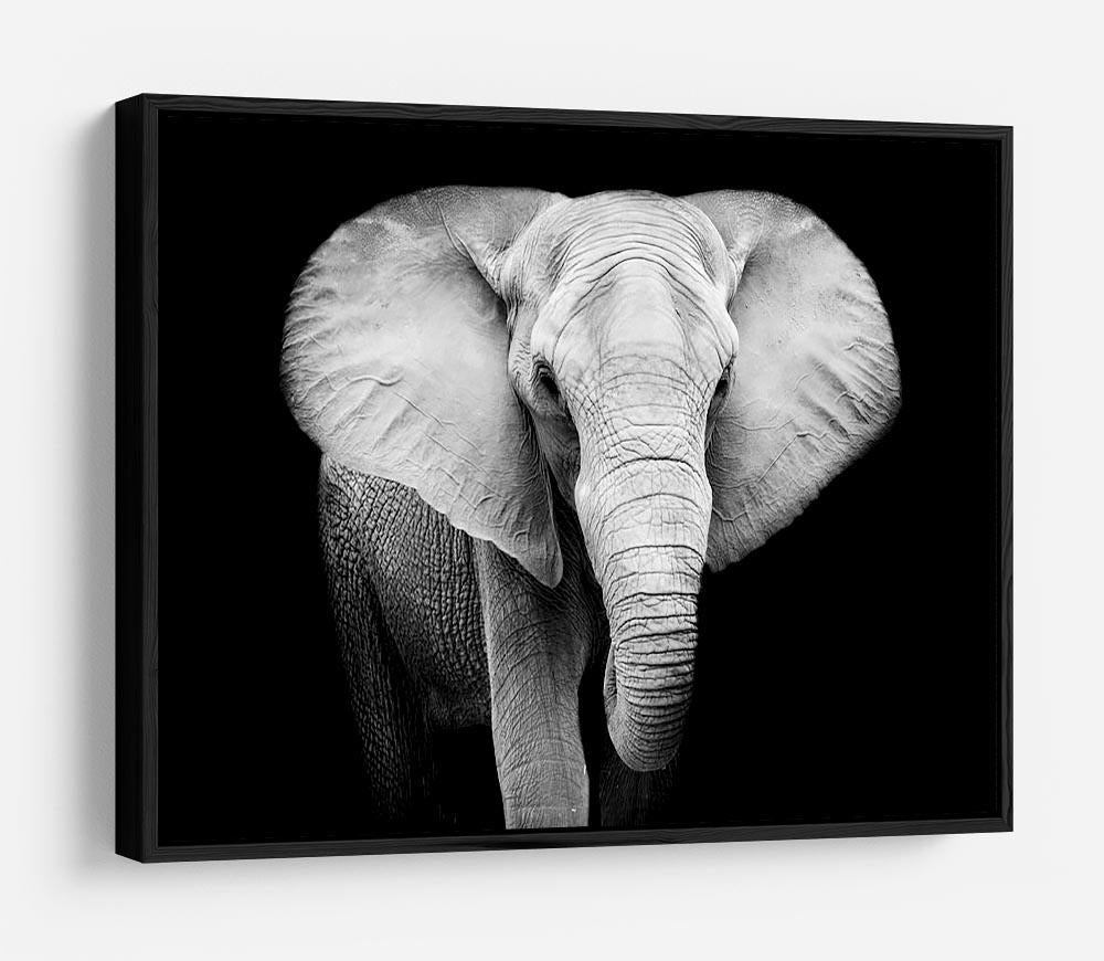 Elephant HD Metal Print - Canvas Art Rocks - 6