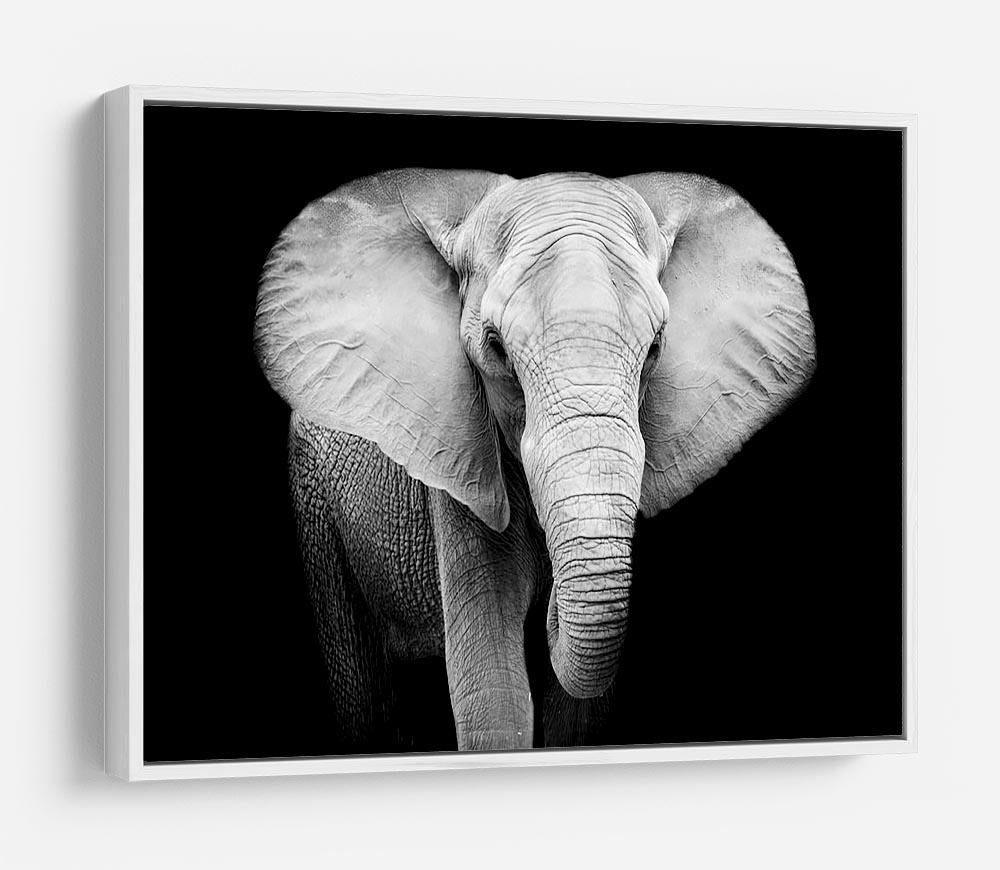 Elephant HD Metal Print - Canvas Art Rocks - 7