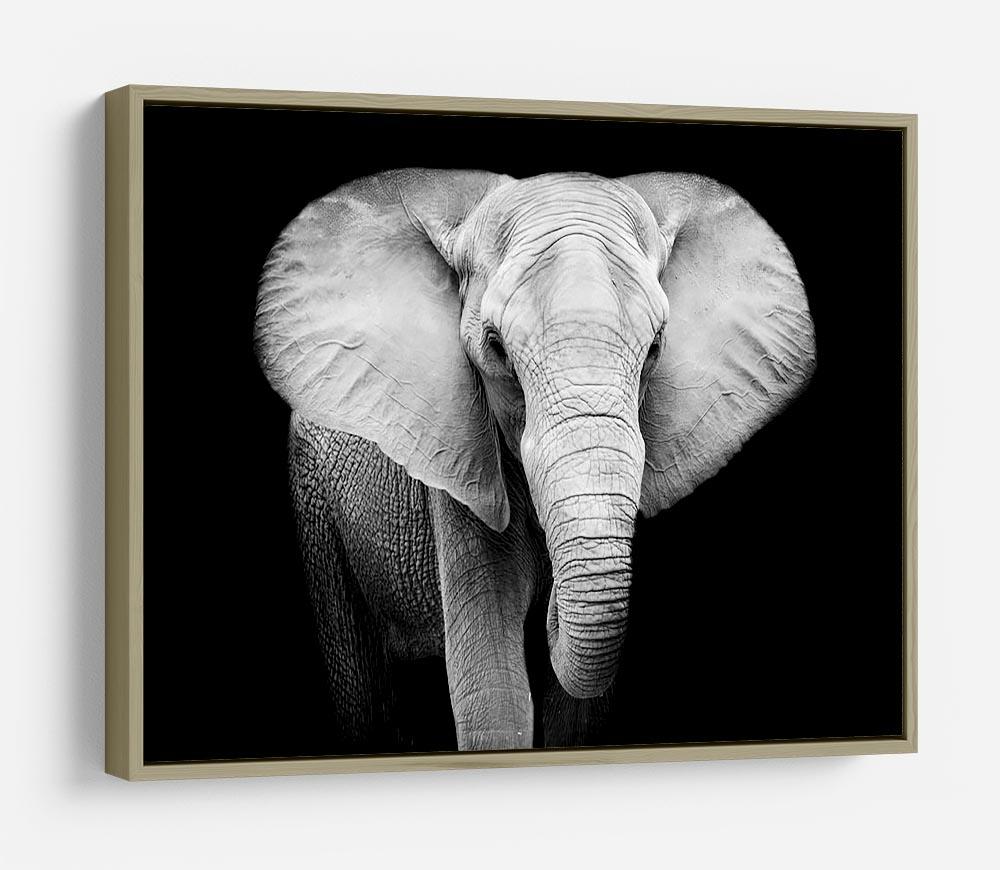 Elephant HD Metal Print - Canvas Art Rocks - 8