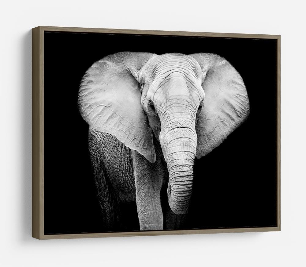 Elephant HD Metal Print - Canvas Art Rocks - 10