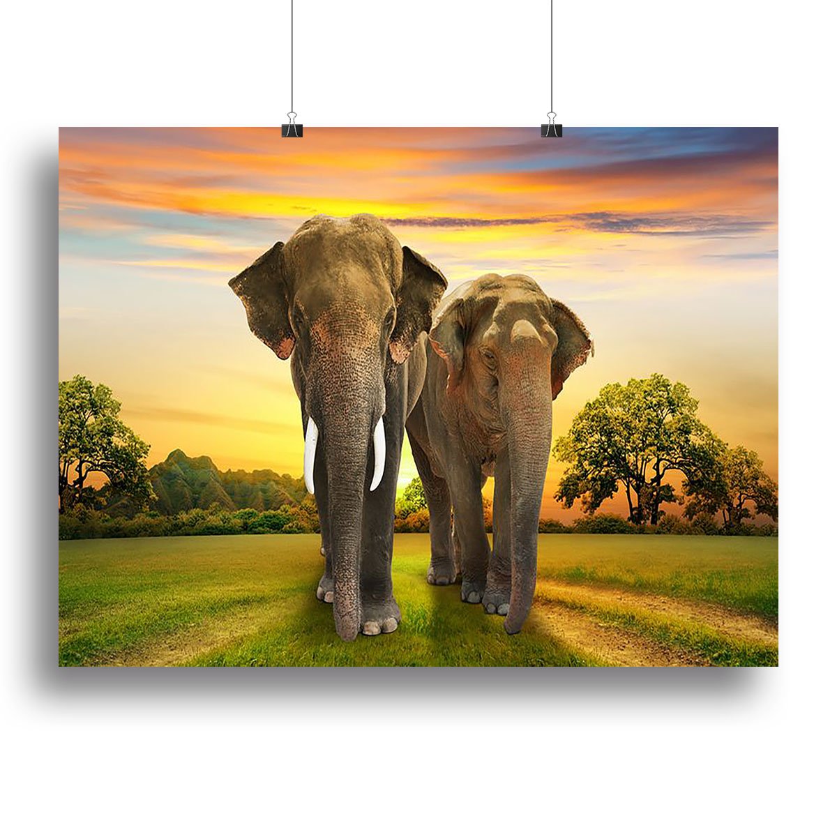 Elephant family on sunset Canvas Print or Poster