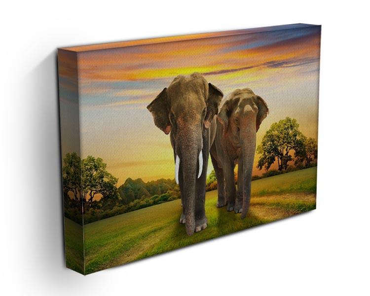 Elephant family on sunset Canvas Print or Poster - Canvas Art Rocks - 3