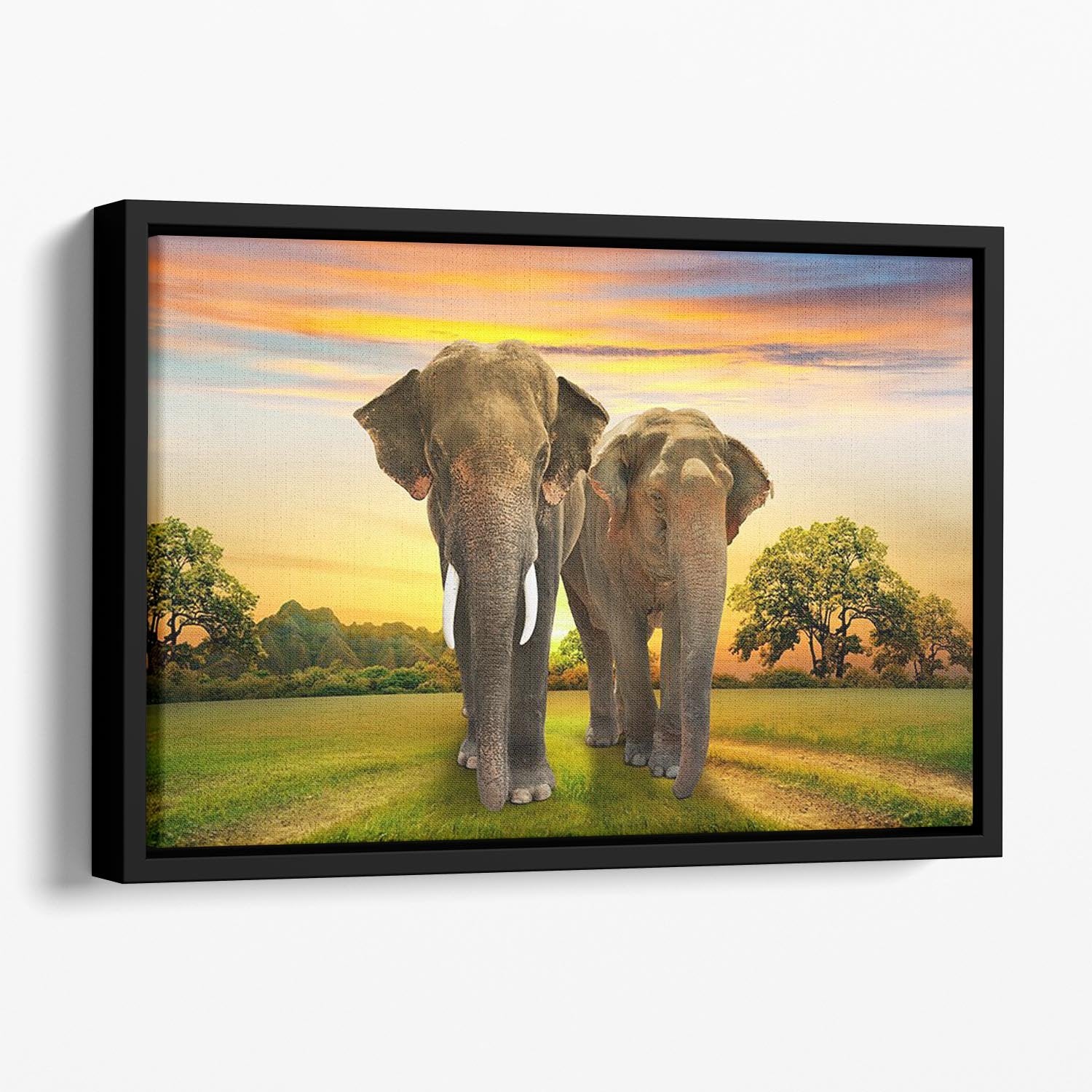 Elephant family on sunset Floating Framed Canvas - Canvas Art Rocks - 1