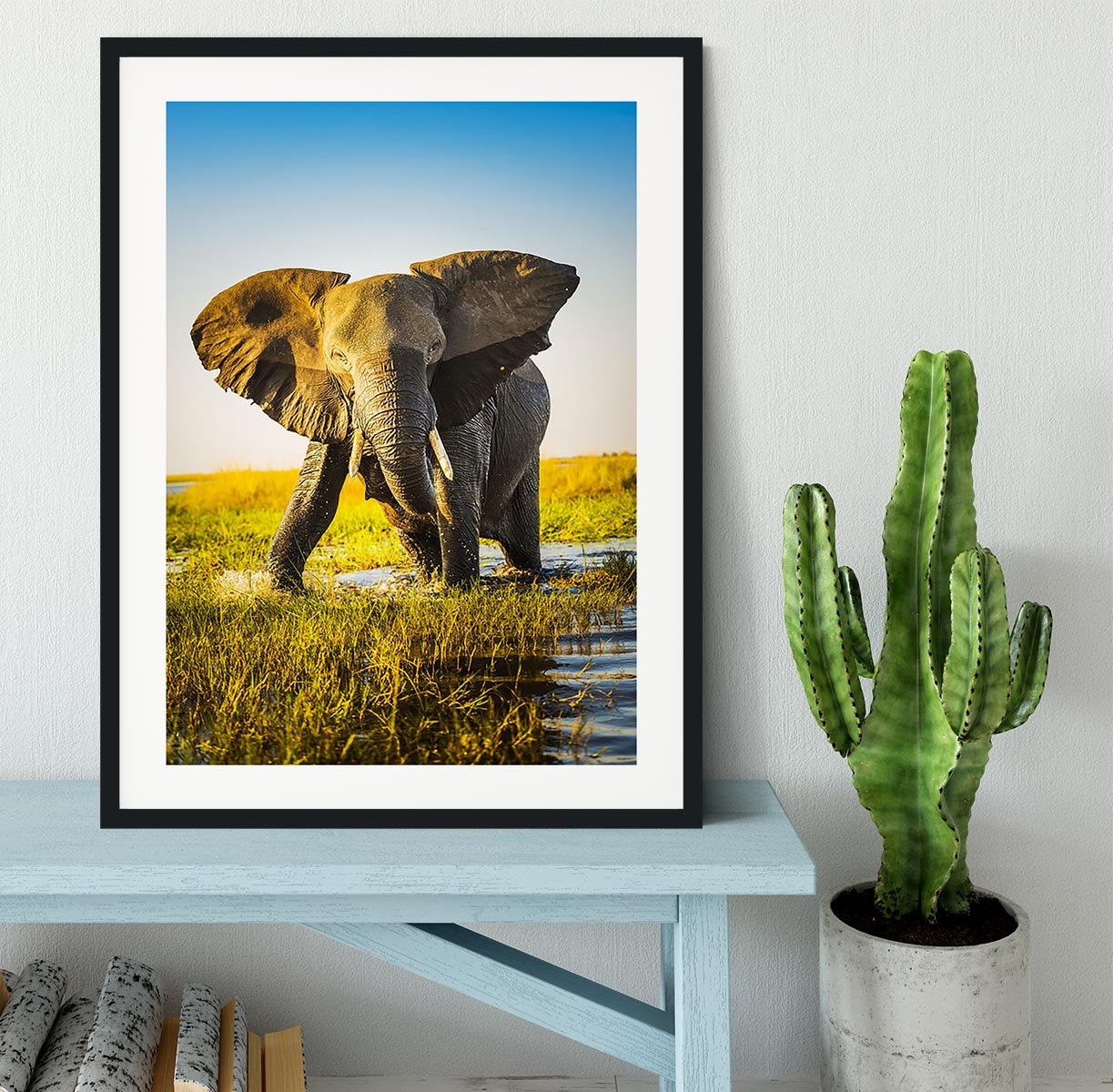 Elephant half wet in sunset light in Africa Framed Print - Canvas Art Rocks - 1