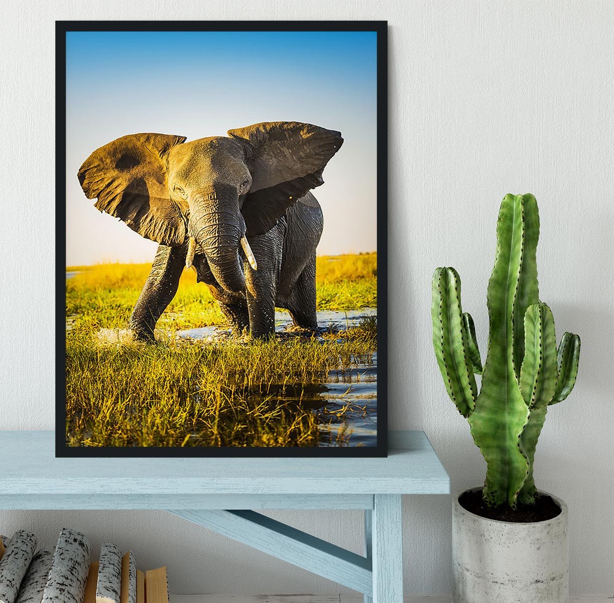 Elephant half wet in sunset light in Africa Framed Print - Canvas Art Rocks - 2