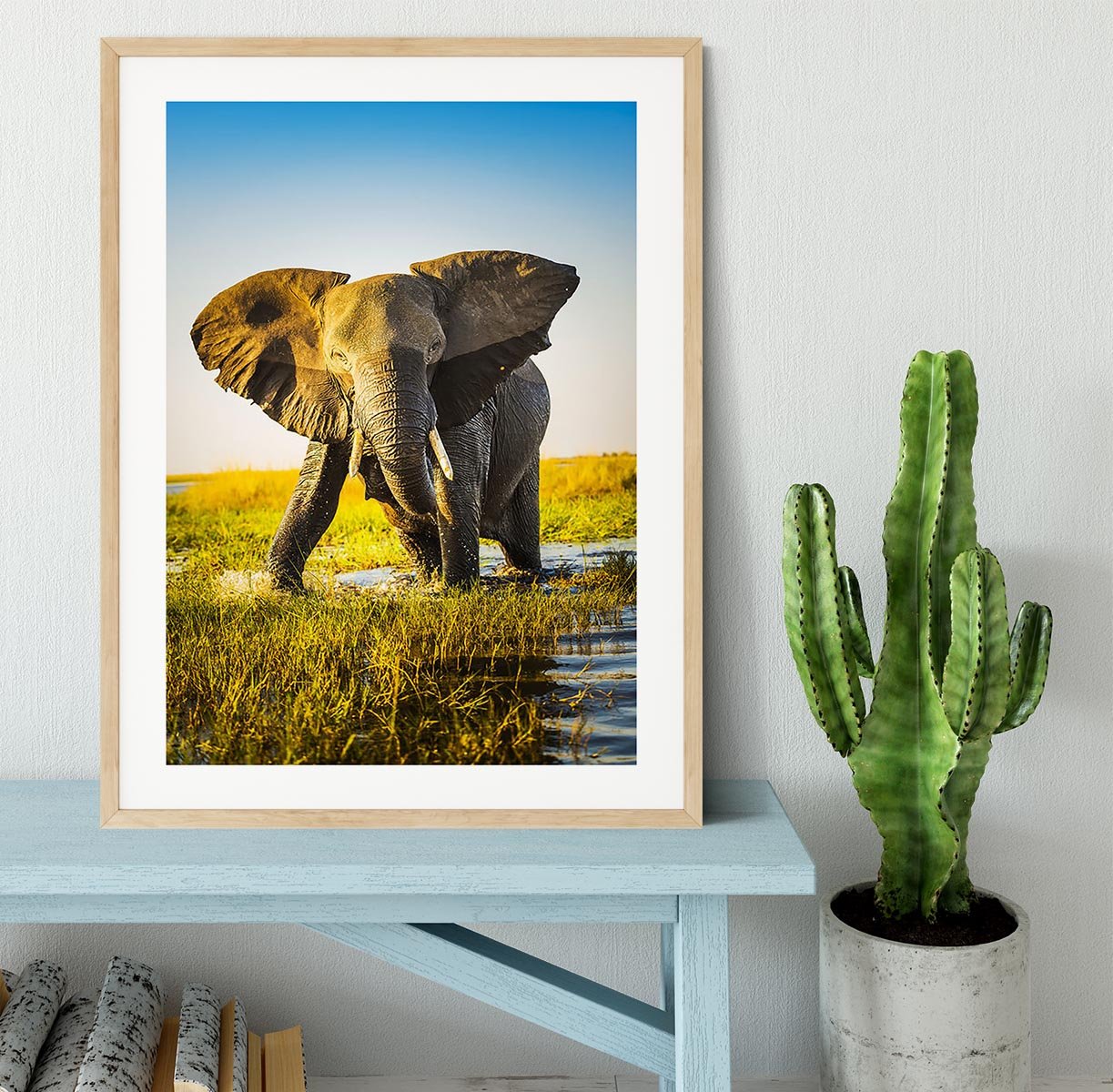 Elephant half wet in sunset light in Africa Framed Print - Canvas Art Rocks - 3