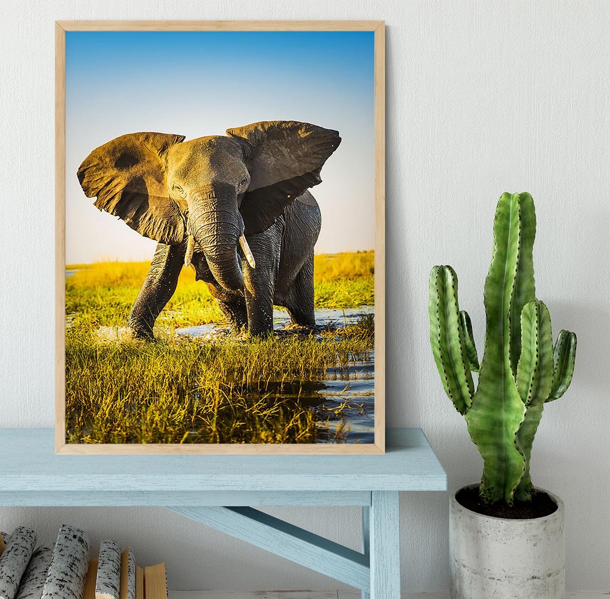 Elephant half wet in sunset light in Africa Framed Print - Canvas Art Rocks - 4
