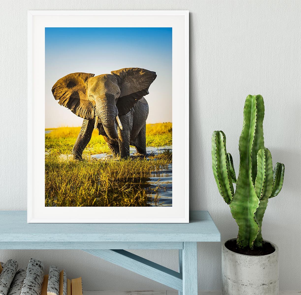 Elephant half wet in sunset light in Africa Framed Print - Canvas Art Rocks - 5