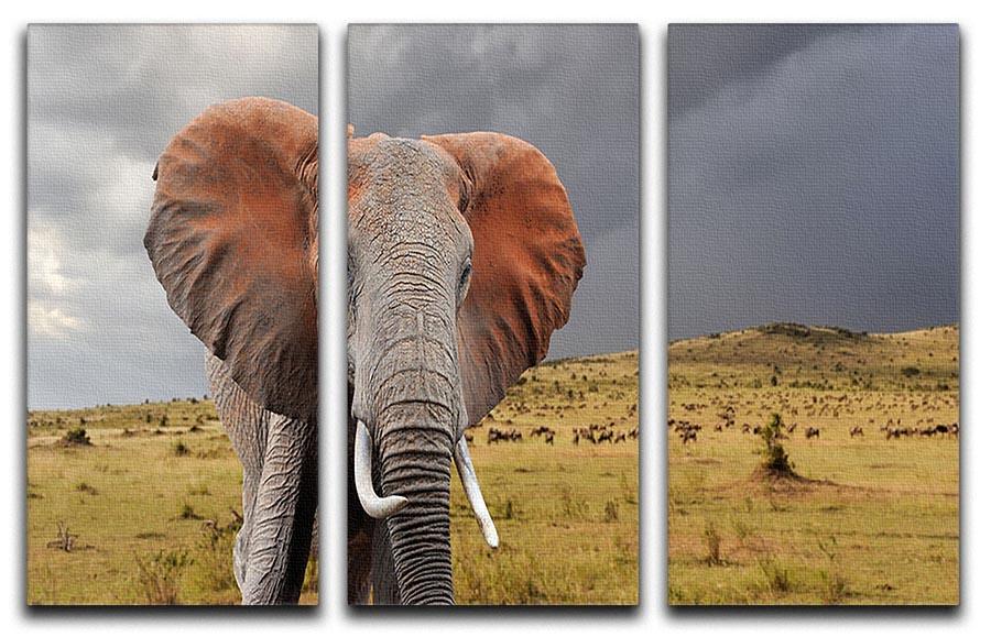 Elephant in National park of Kenya 3 Split Panel Canvas Print - Canvas Art Rocks - 1
