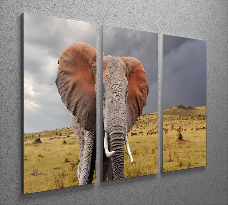 Elephant in National park of Kenya 3 Split Panel Canvas Print - Canvas Art Rocks - 2