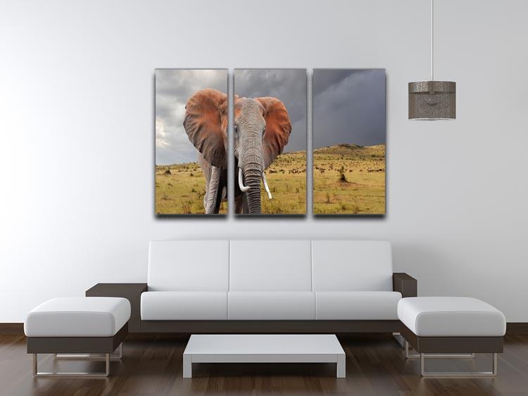 Elephant in National park of Kenya 3 Split Panel Canvas Print - Canvas Art Rocks - 3