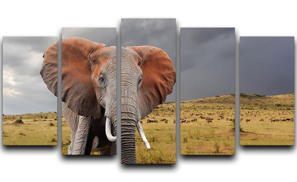 Elephant in National park of Kenya 5 Split Panel Canvas - Canvas Art Rocks - 1