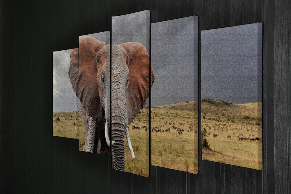 Elephant in National park of Kenya 5 Split Panel Canvas - Canvas Art Rocks - 2