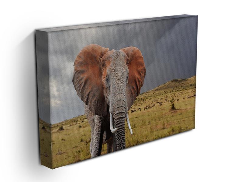 Elephant in National park of Kenya Canvas Print or Poster - Canvas Art Rocks - 3