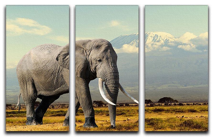 Elephant on Kilimajaro mount 3 Split Panel Canvas Print - Canvas Art Rocks - 1