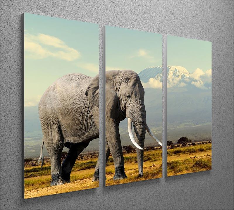 Elephant on Kilimajaro mount 3 Split Panel Canvas Print - Canvas Art Rocks - 2