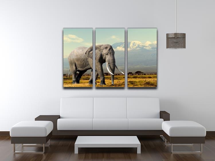 Elephant on Kilimajaro mount 3 Split Panel Canvas Print - Canvas Art Rocks - 3