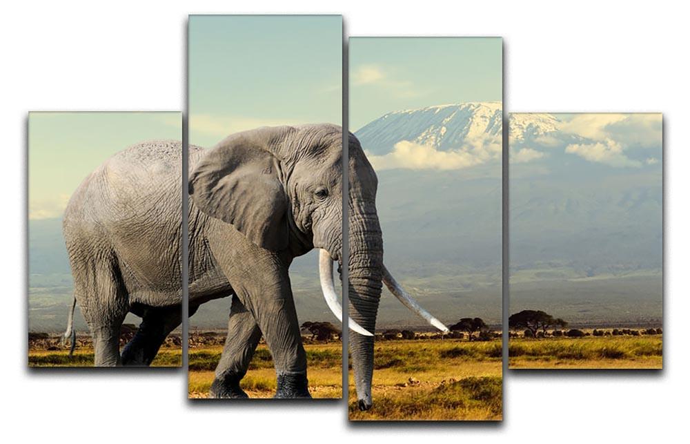 Elephant on Kilimajaro mount 4 Split Panel Canvas - Canvas Art Rocks - 1