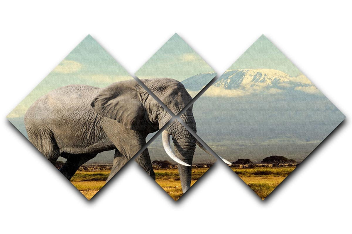 Elephant on Kilimajaro mount 4 Square Multi Panel Canvas - Canvas Art Rocks - 1