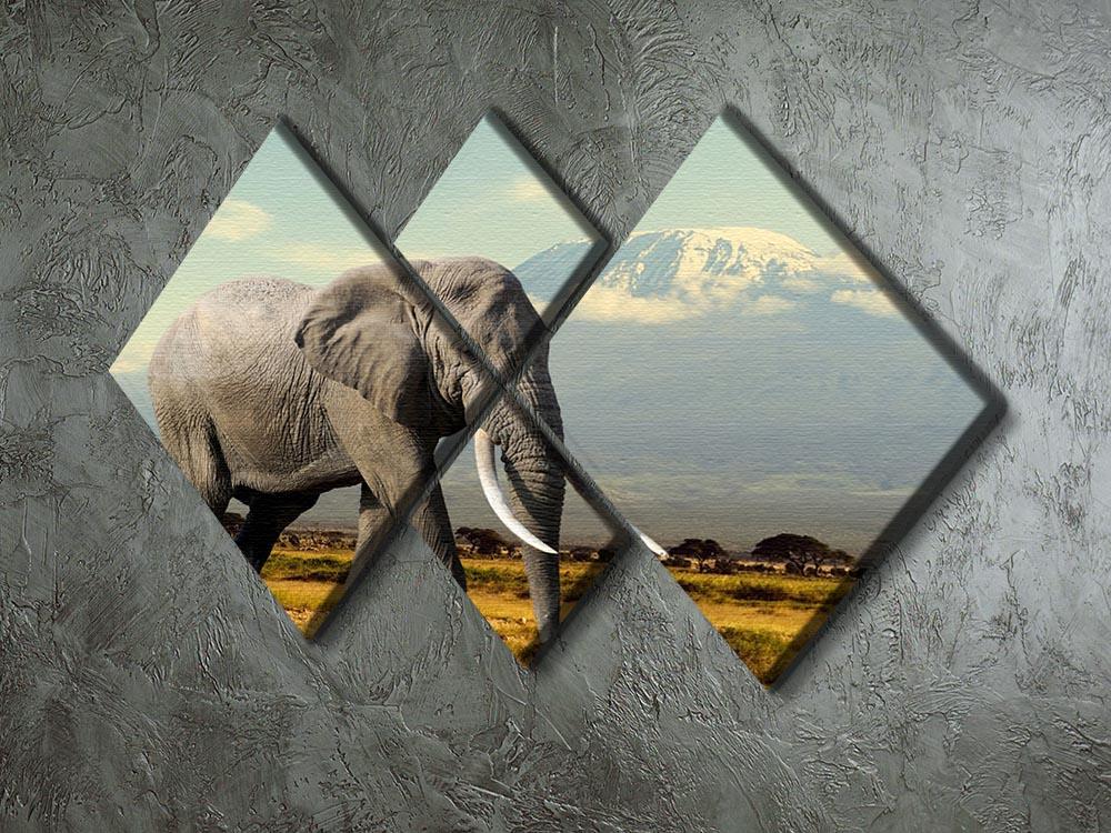Elephant on Kilimajaro mount 4 Square Multi Panel Canvas - Canvas Art Rocks - 2